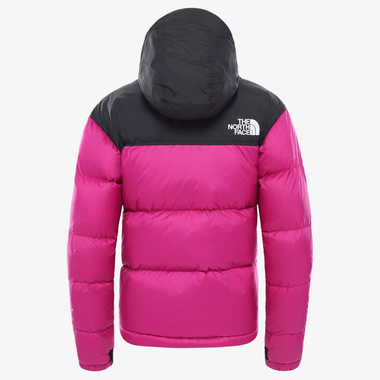 wild aster purple north face nuptse